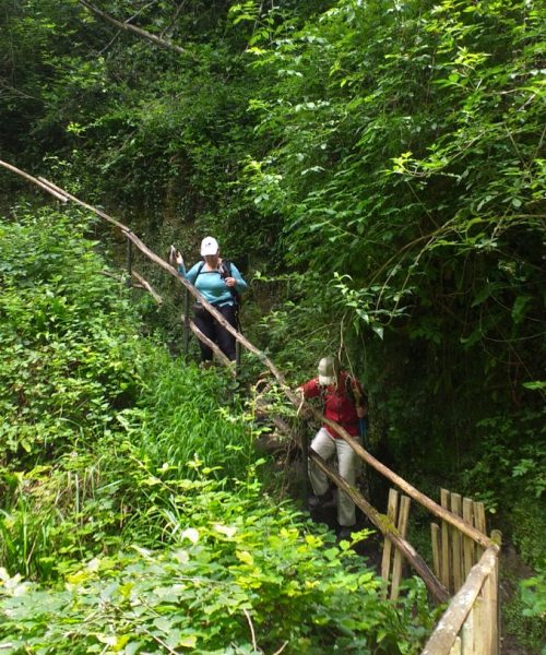 Resized_20240611_124243